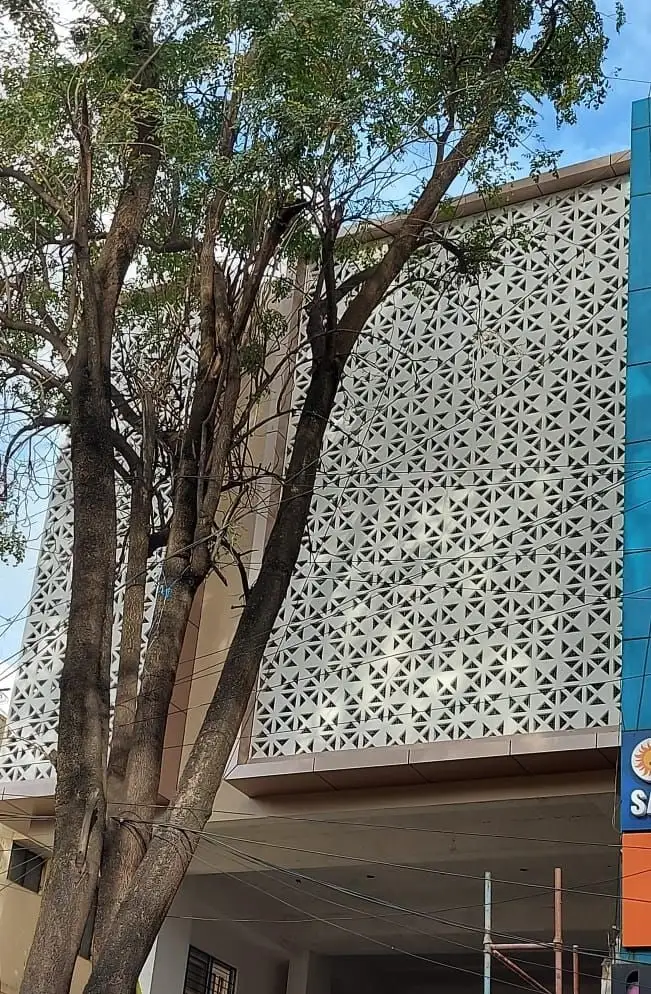 Commercial complex, Malleswaram, Bengaluru: The jaali boxes seen past the tree on the street