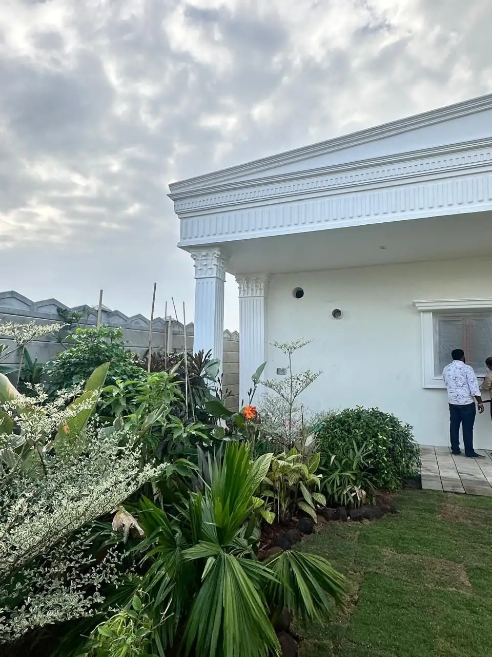 TDP office: The end of the verandah, with the cornice and a corner column